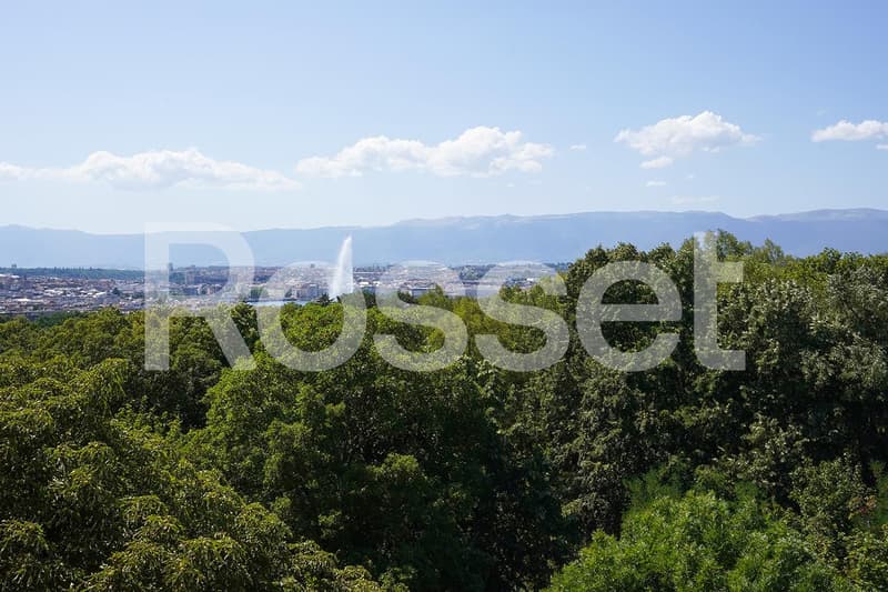 Attique de 8 pièces en pignon avec terrasse périphérique et vue dégagée sur ville et lac (1)