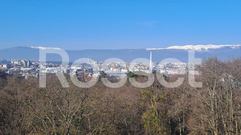 Attique de 8 pièces en pignon avec terrasse périphérique et vue dégagée sur ville et lac (2)