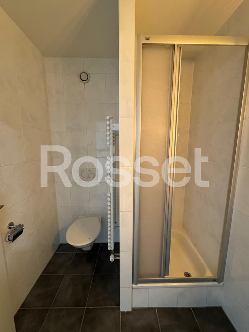 Appartement 6 pièces au 5ème étage. (4)