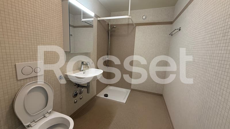 A louer, superbe appartement duplex de 4.5 pièces au 2ème sous-sol (7)