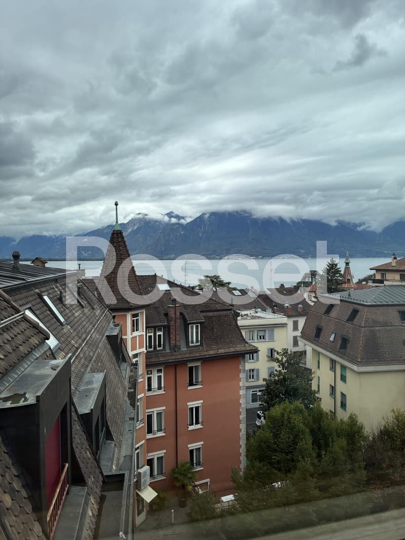 Appartement de 1 pièce aux combles, 6ème étage (2)
