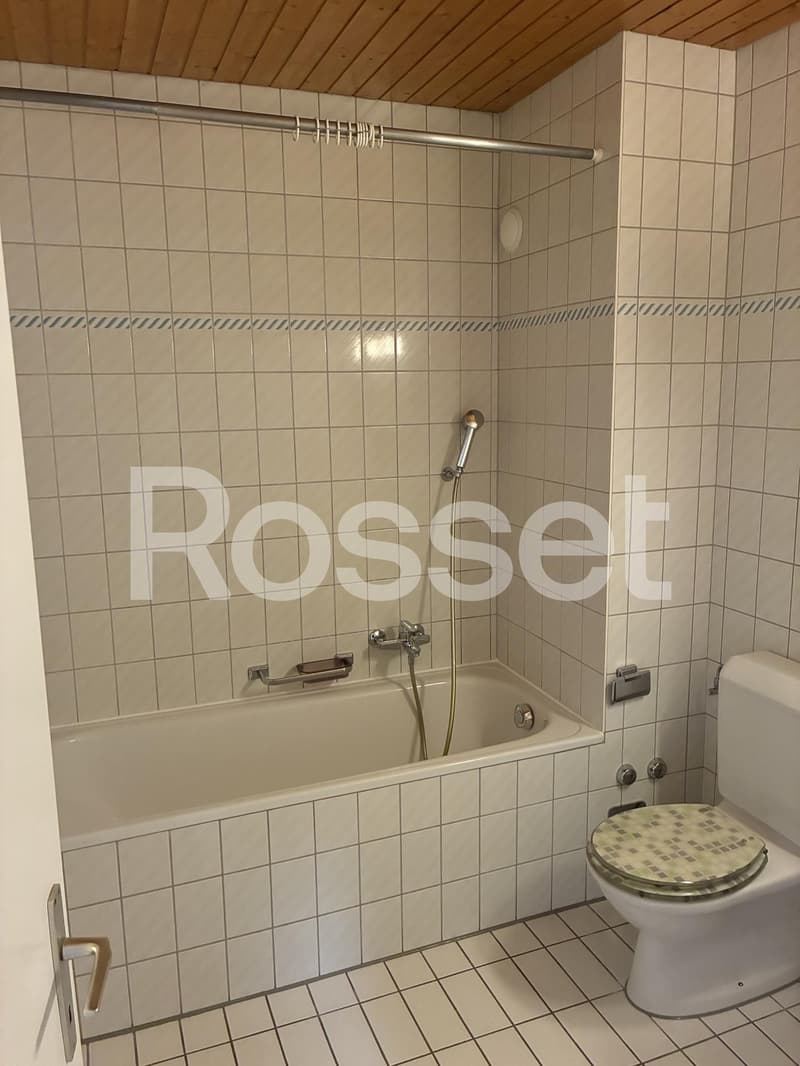 Appartement de 1 pièce aux combles, 6ème étage (3)