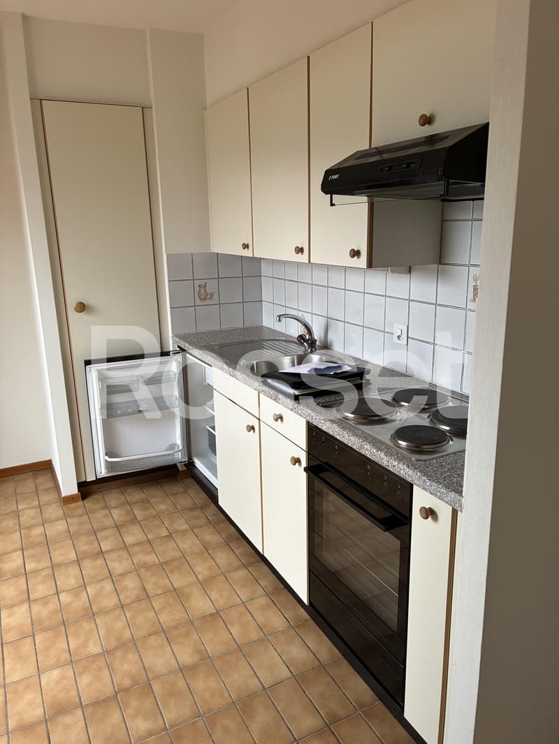 Appartement de 1 pièce aux combles, 6ème étage (6)