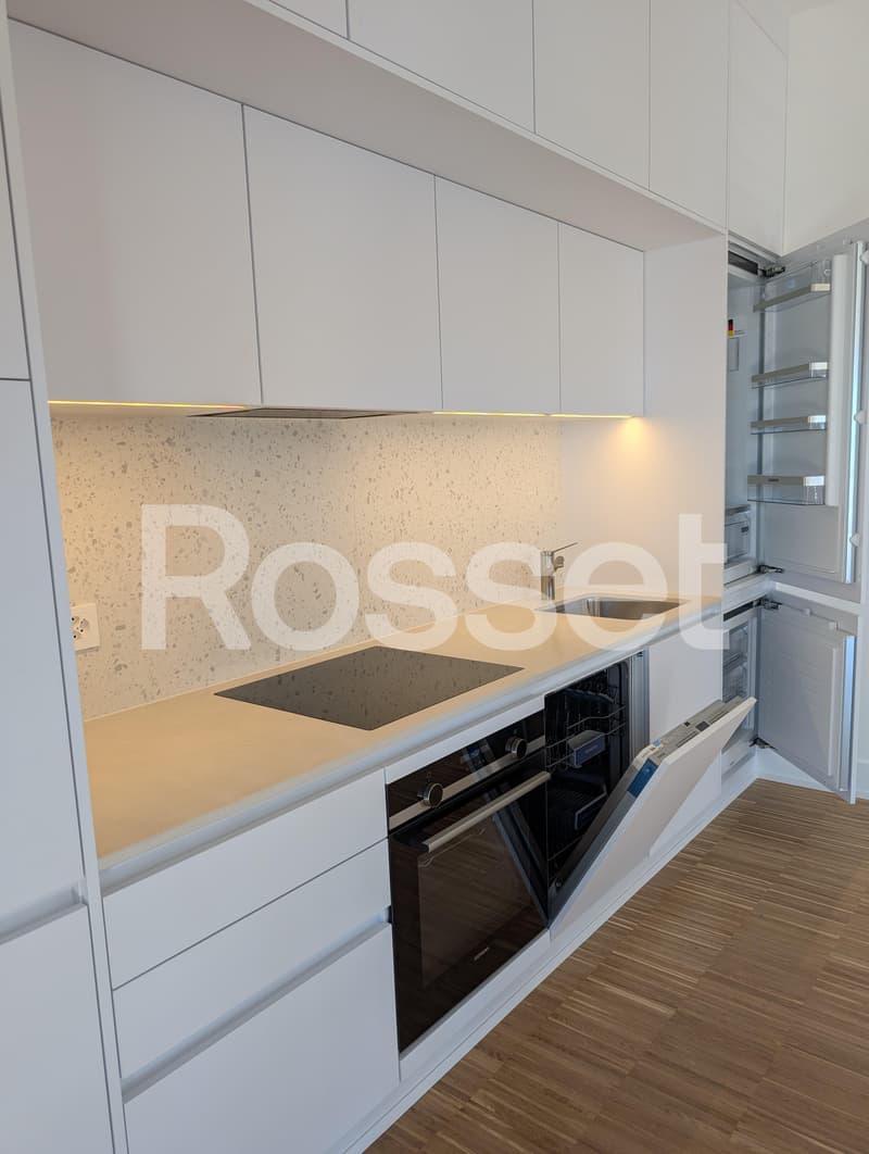 Magnifique appartement neuf de 2.5 pièces avec vue panoramique sur le lac (2)