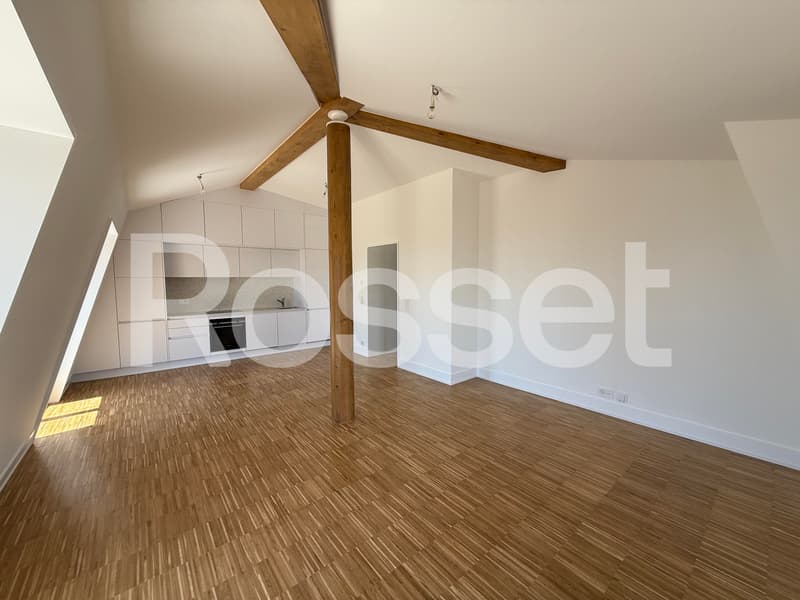 Magnifique appartement neuf de 2.5 pièces avec vue panoramique sur le lac (3)