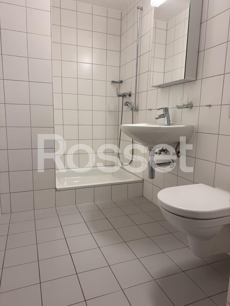 3½ pièces au rez d'env. 78.5 m² (5)