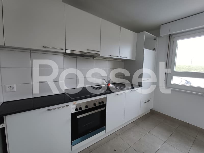 Appartement 4.5 pièces 2ème étage (6)