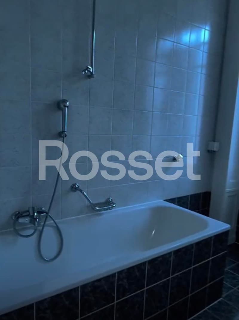 Appartement 4 pièces au 3ème étage (6)