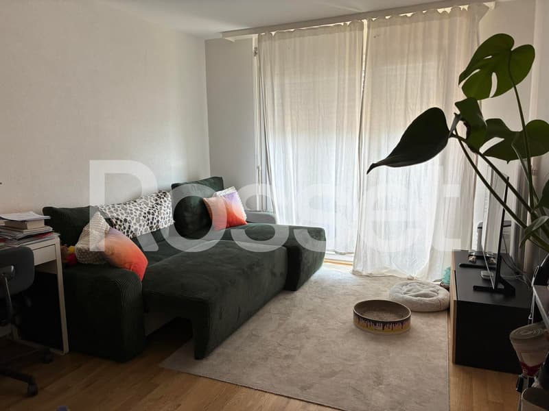 Appartement de 1.5 pièces au 11ème étage (3)