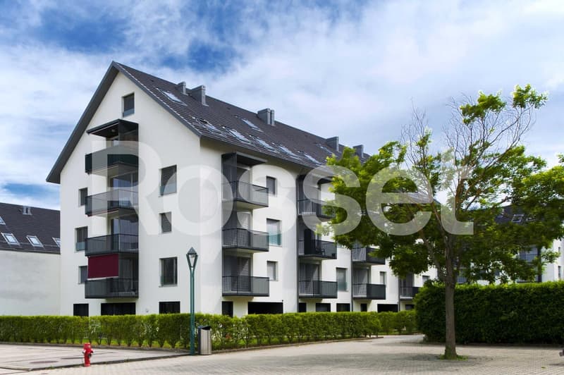 Appartement 5.5 pièces à louer à Gland - 3ème étage (1)