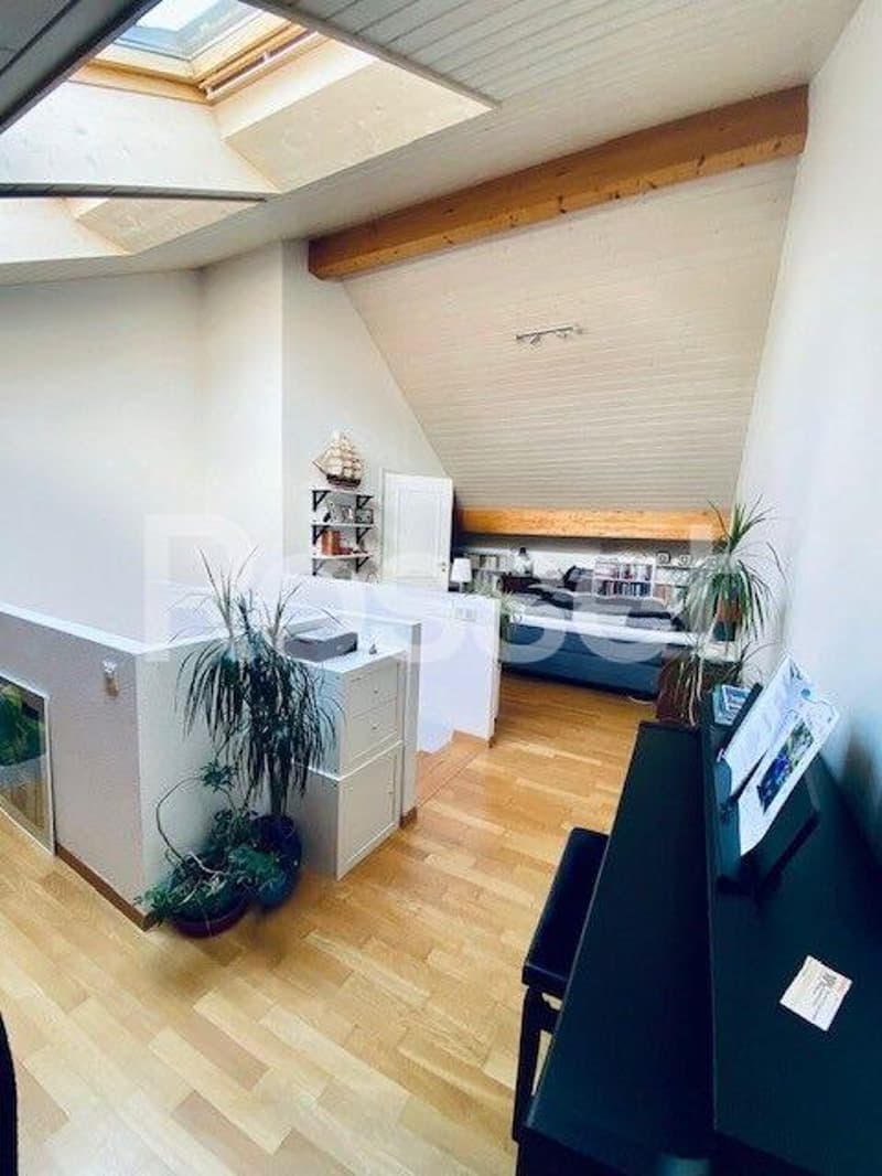 Appartement de 5 pièces triplex (4)