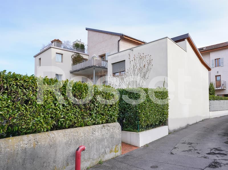 Appartement de 5 pièces triplex (2)
