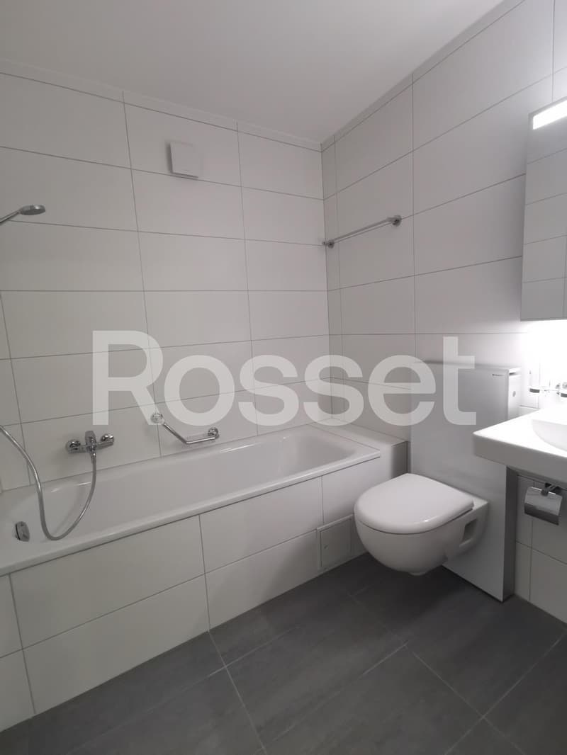 Magnifique appartement en attique d'env. 128 m² au 5ème étage (9)