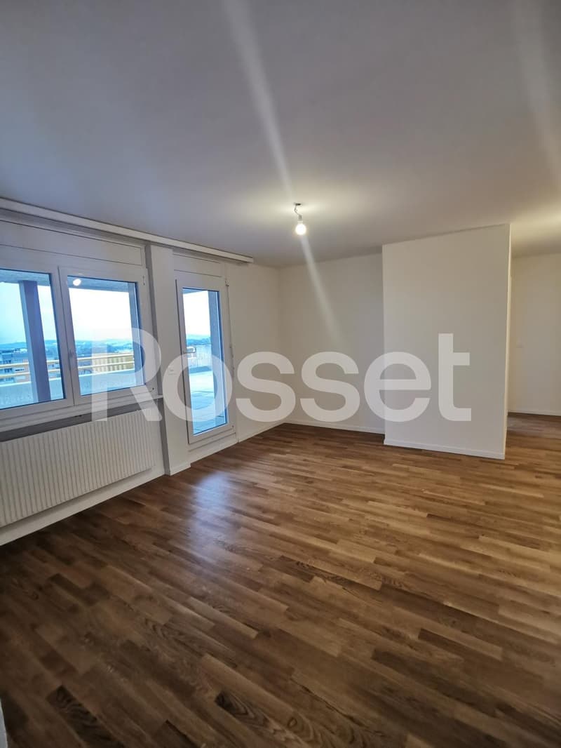 Magnifique appartement en attique d'env. 128 m² au 5ème étage (3)