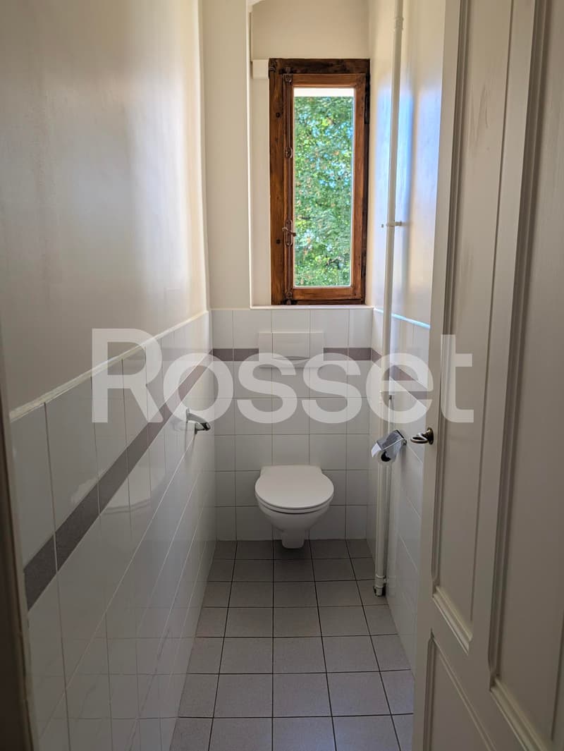 Appartement 3,5 pièces au 2ème étage (7)