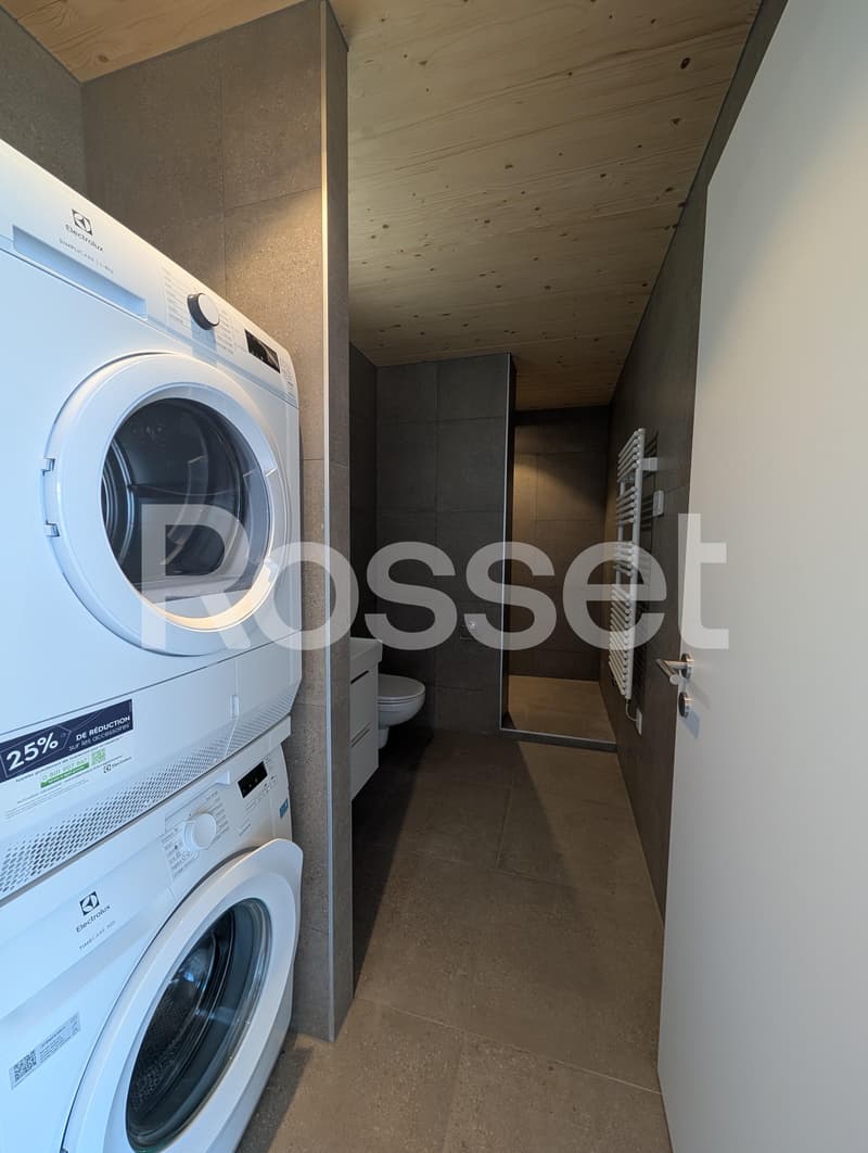 Magnifiques logements rénovés de 2.5 à 4.5 pièces (8)