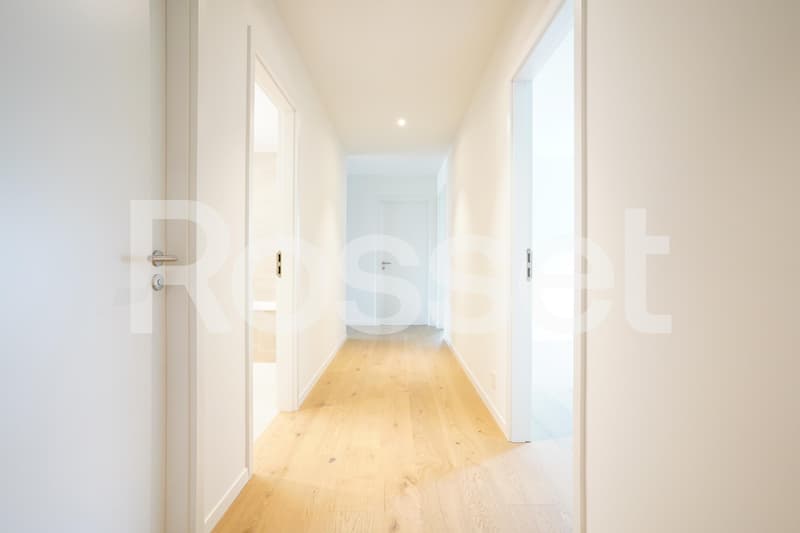 Rare à la location, lumineux appartement au coeur de la ville (3)