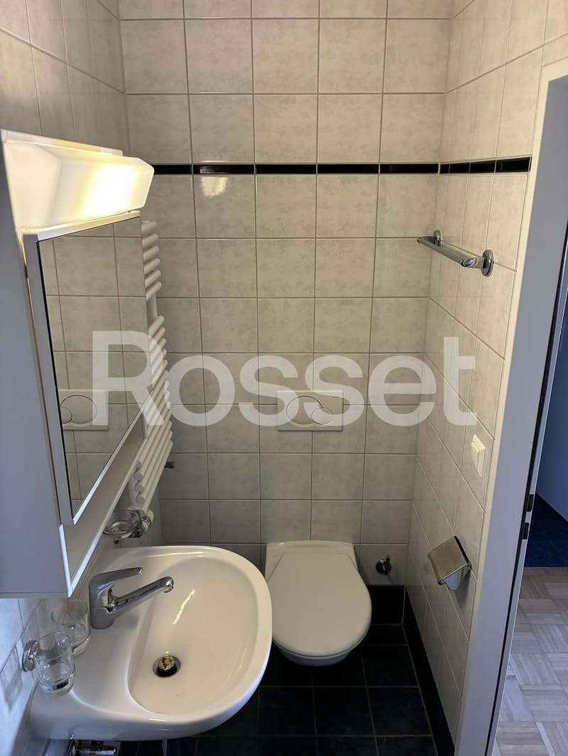 Appartement de 4.5 pièces au 6ème étage (7)