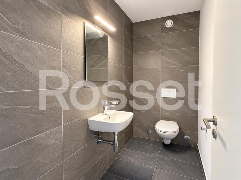 Appartement entièrement neuf de 4.5 pièces au 1er étage (5)