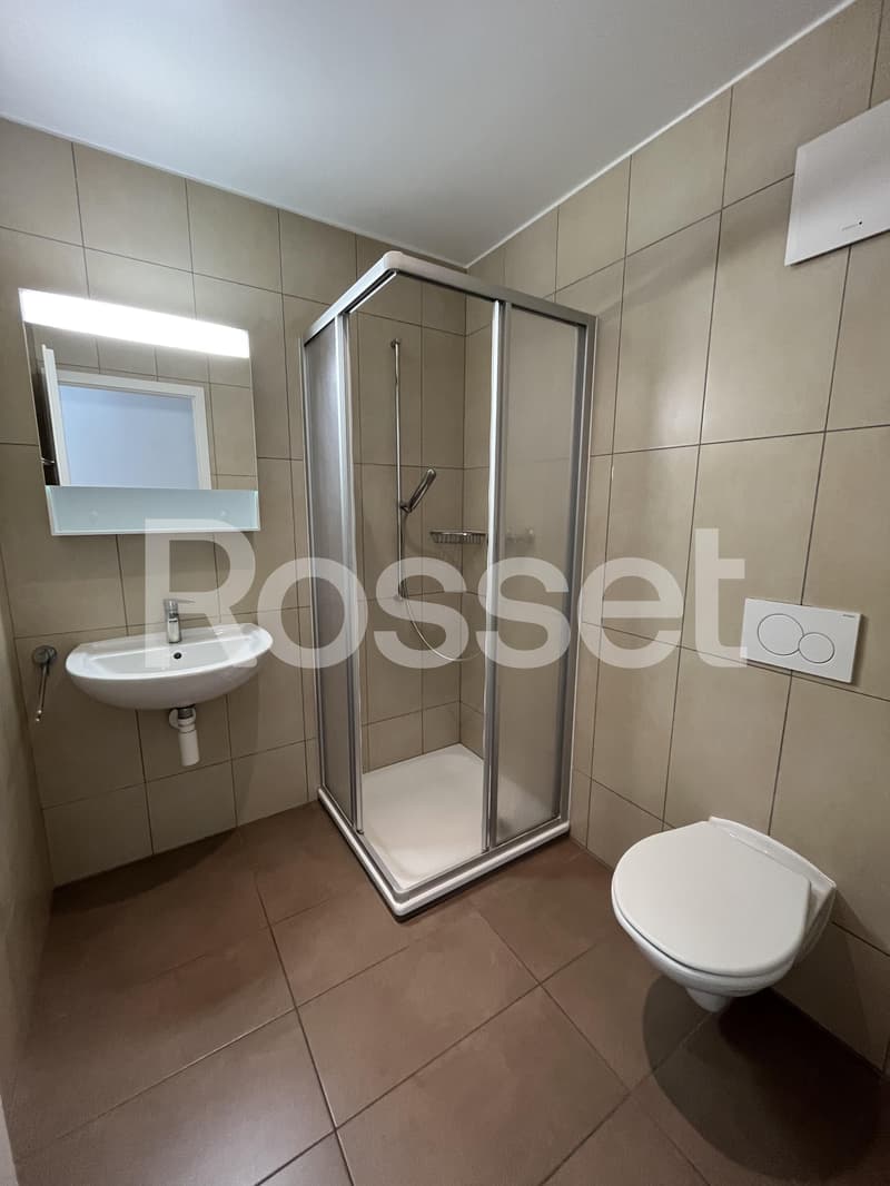 Spacieux appartement de 4.5 pièces (10)