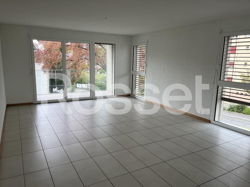 Spacieux appartement de 4.5 pièces (6)