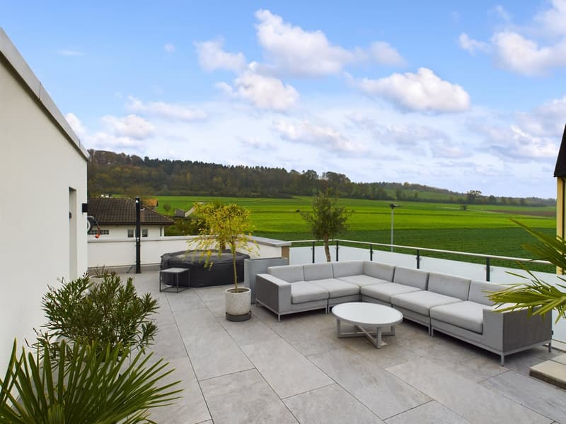 Panorama und Entspannung: Attikawohnung mit einzigartiger Terrasse