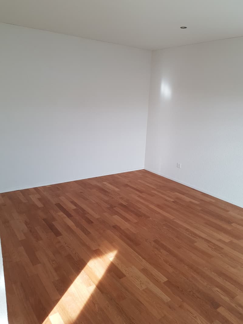 empty room, hardwood floor, white walls, power outlet