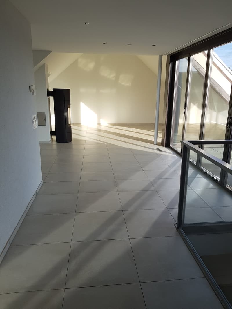Empty room with white tiles, glass doors, black railing, black object on the wall