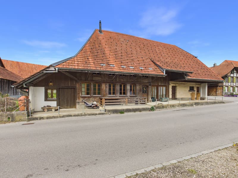 Charmantes 5.5-Zimmer-Bauernhaus in ruhiger Lage von Leuzigen (2)