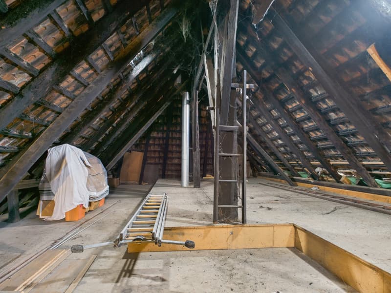 Charmantes 5.5-Zimmer-Bauernhaus in ruhiger Lage von Leuzigen (25)