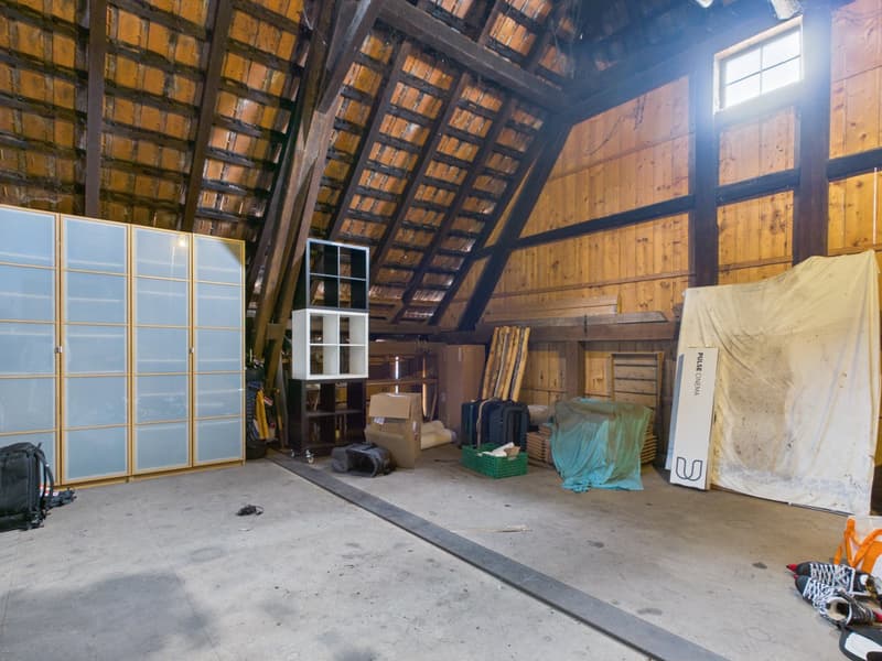 Charmantes 5.5-Zimmer-Bauernhaus in ruhiger Lage von Leuzigen (24)