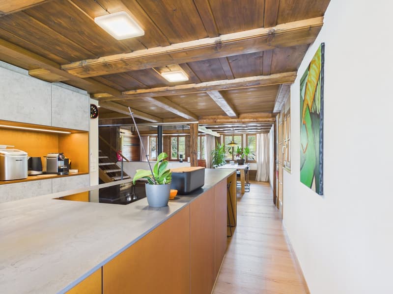 Charmantes 5.5-Zimmer-Bauernhaus in ruhiger Lage von Leuzigen (7)