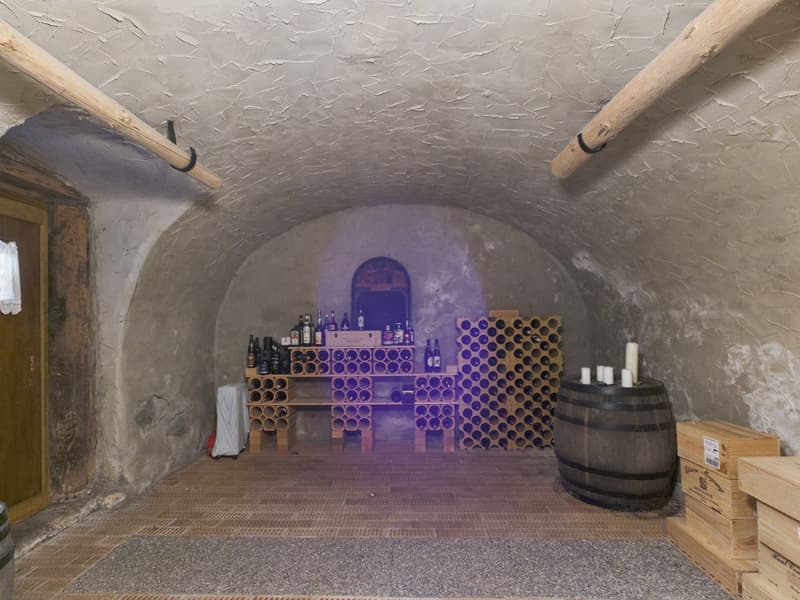 Charmantes 5.5-Zimmer-Bauernhaus in ruhiger Lage von Leuzigen (26)