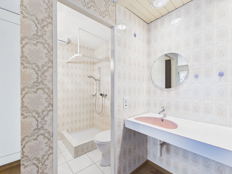 Exklusives 6.5-Zimmer-Einfamilienhaus mit Pool, Wintergarten und viel Privatsphäre in Arch BE (18)