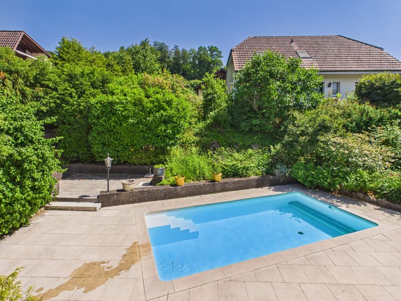 Exklusives 6.5-Zimmer-Einfamilienhaus mit Pool, Wintergarten und viel Privatsphäre in Arch BE (4)