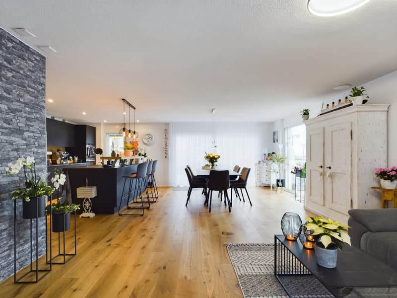 5½-Zimmer-Attikawohnung mit 152 m² Terrasse, direktem Liftzugang und Whirlpool (4)