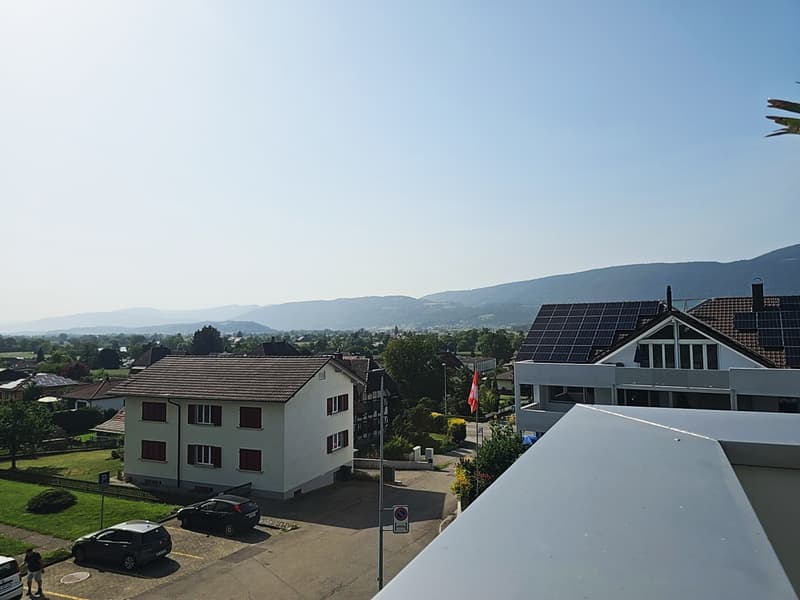 5½-Zimmer-Attikawohnung mit 152 m² Terrasse, direktem Liftzugang und Whirlpool (19)