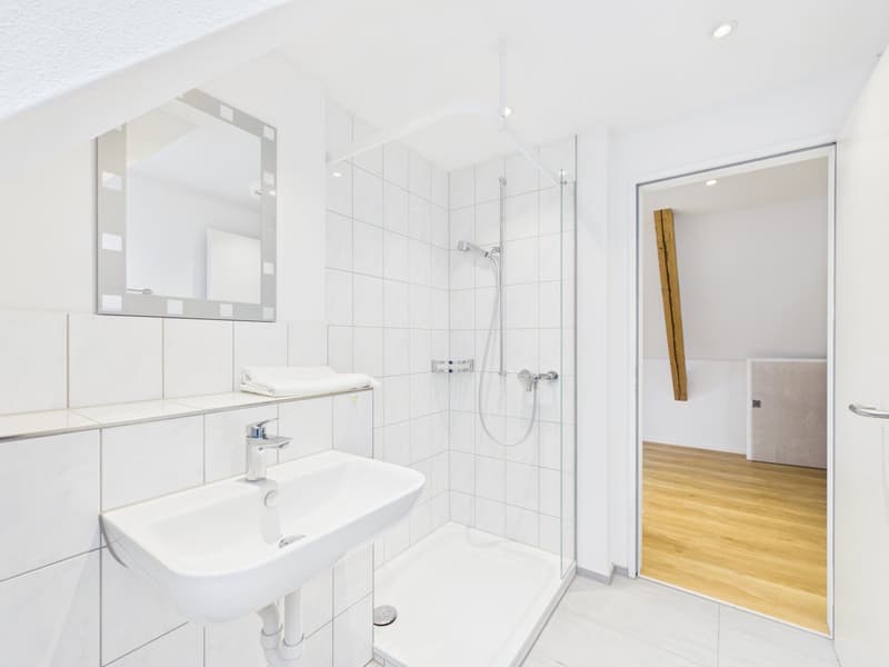 CHARMANTE 2.5-ZIMMER-DACHWOHNUNG MIT LOFTCHARAKTER (8)