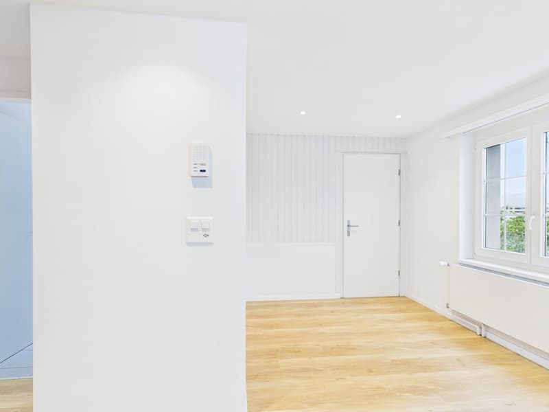 CHARMANTE 2.5-ZIMMER-DACHWOHNUNG MIT LOFTCHARAKTER (12)
