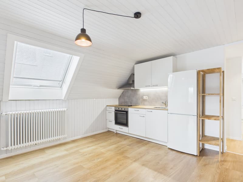 CHARMANTE 2.5-ZIMMER-DACHWOHNUNG MIT LOFTCHARAKTER (3)