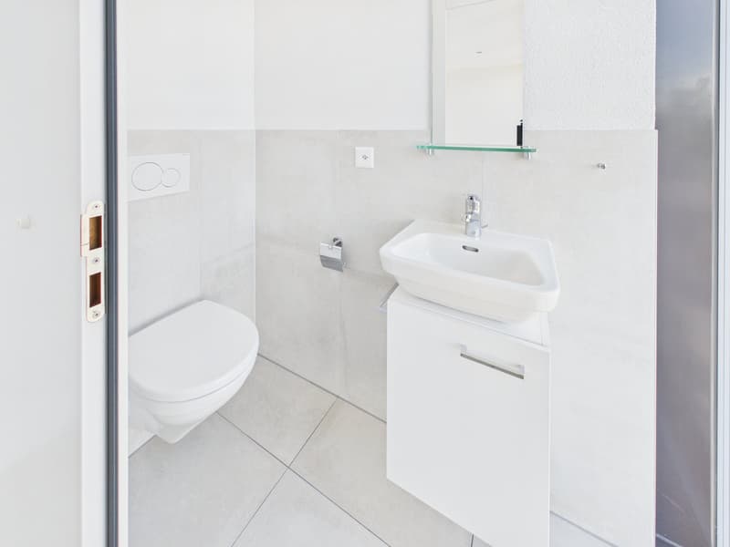 Exklusive Maisonettewohnung mit direktem Liftzugang (5)