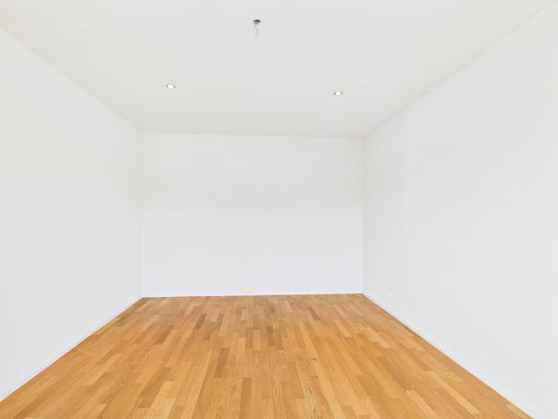 Exklusive Maisonettewohnung mit direktem Liftzugang (22)