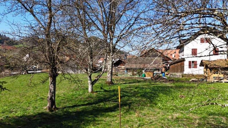 Grosszügige Baulandparzelle in ruhiger Lage – 831 m² in Erschwil (4)