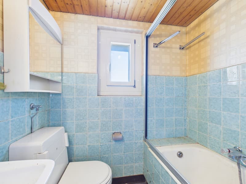 Zuhause mit Weitblick – Sanierungsobjekt mit Entwicklungspotenzial (12)