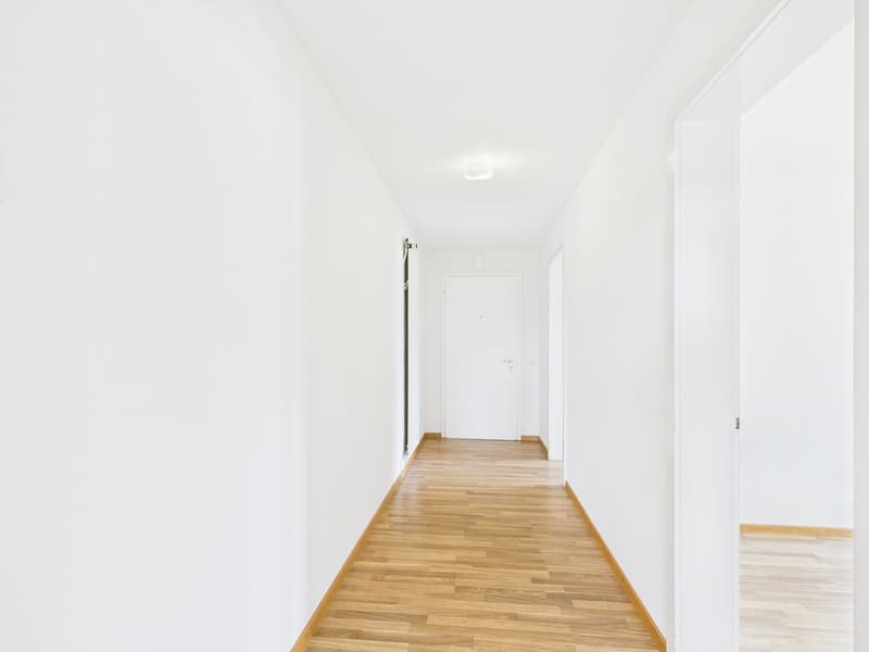 Charmante 4.5-Zimmer-Wohnung mit Balkon in Solothurn (5)