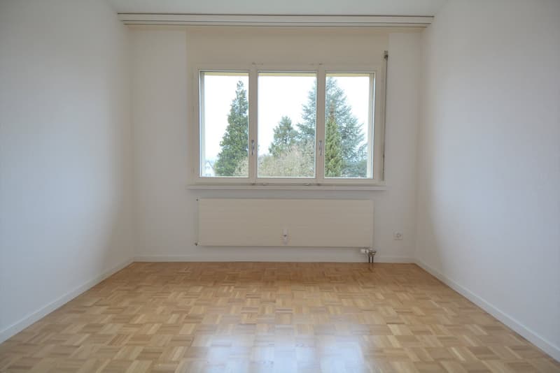Grosszügige 5½-Zimmerwohnung mit sonnigem Balkon in Solothurn (8)