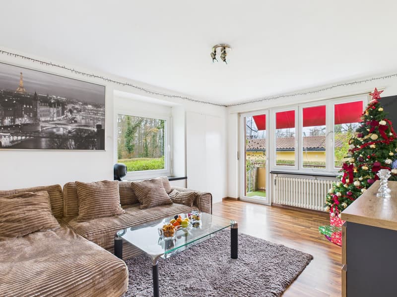 3½-Zimmerwohnung mit grossem Gartensitzplatz – Wohnen direkt an der Aare (9)