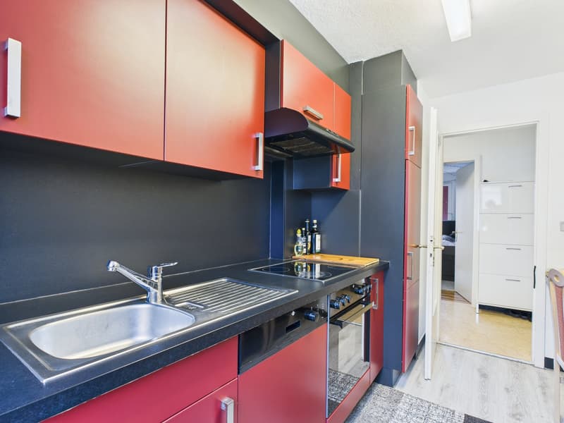 3½-Zimmerwohnung mit grossem Gartensitzplatz – Wohnen direkt an der Aare (4)