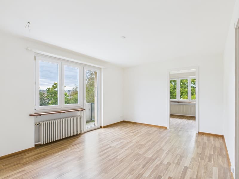 Charmante 4.5-Zimmer-Wohnung mit Balkon in Solothurn (1)