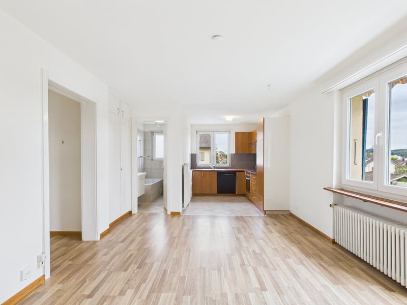 Charmante 4.5-Zimmer-Wohnung mit Balkon in Solothurn (2)